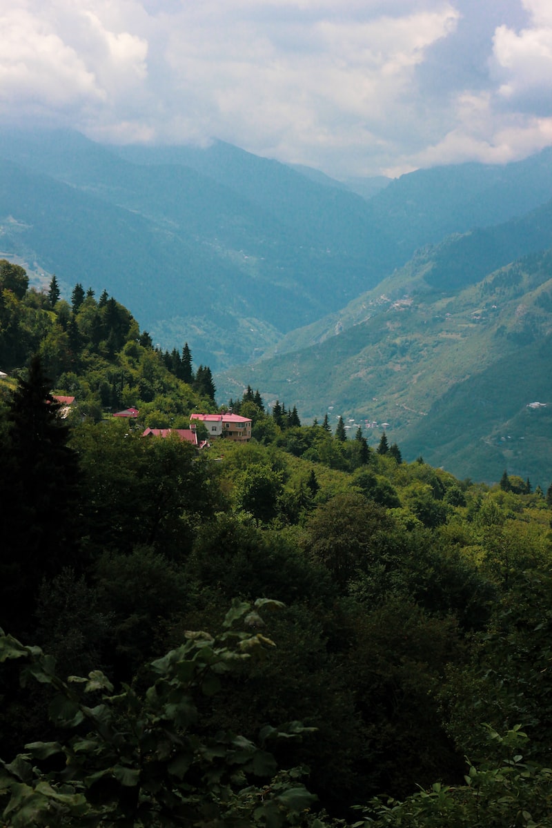 Trabzon Üniversiteleri Trabzon Üniversiteleri