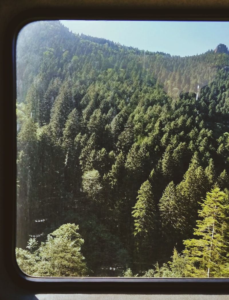 Trabzon Üniversiteleri Trabzon Üniversiteleri